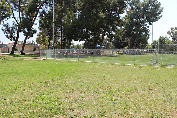Grounds-Grass Areas-3