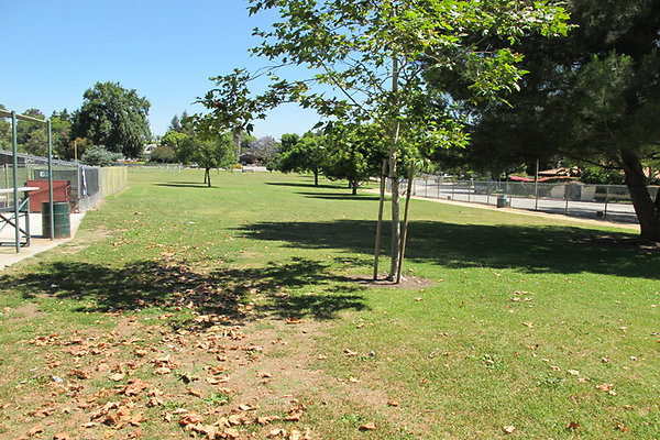 Grounds-Grass Areas-9