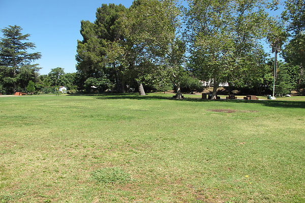 Grounds-Grass Areas-6