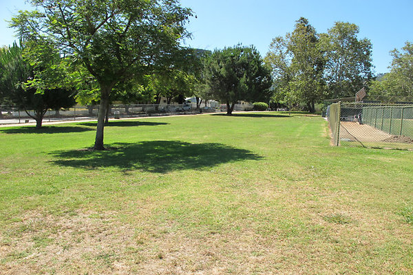 Grounds-Grass Areas-8