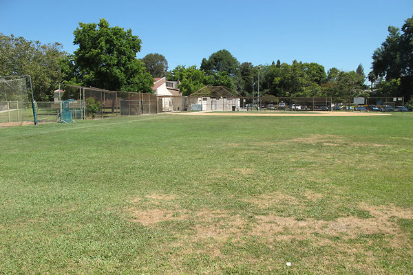 Grounds-Grass Areas-4