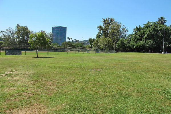 Grounds-Grass Areas-7