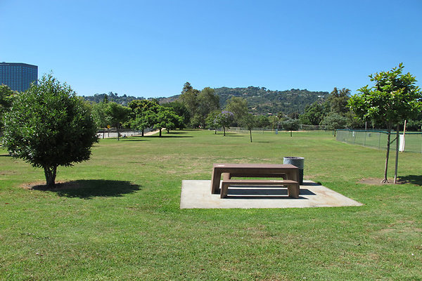 Picnic Areas-Uncovered-3