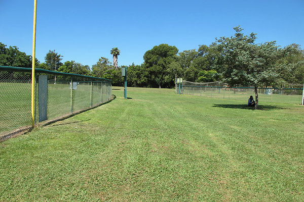 Grounds-Grass Areas-1