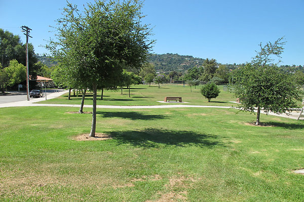 Grounds-Grass Areas-2