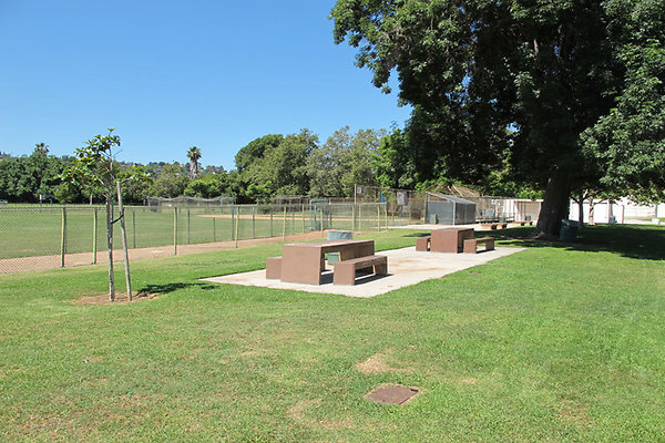 Picnic Areas-Uncovered-1