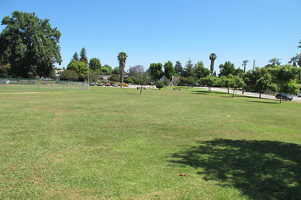 Grounds-Grass Areas-5