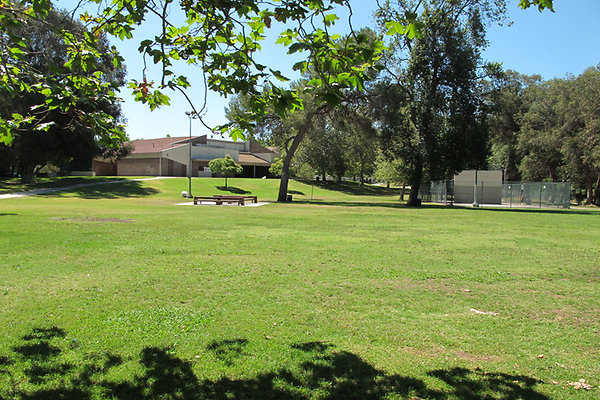 Grounds-Grass Areas-3