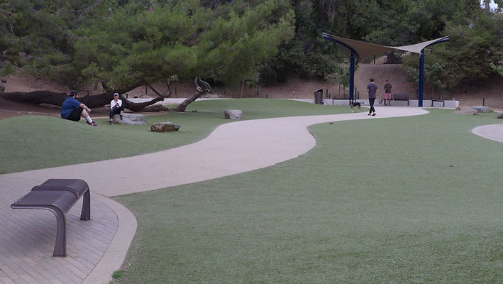 Dog Park-12