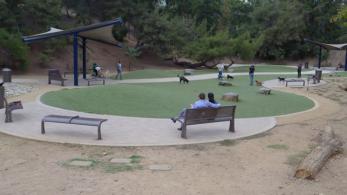 Dog Park-3
