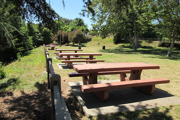 Picnic Areas-Uncovered-3