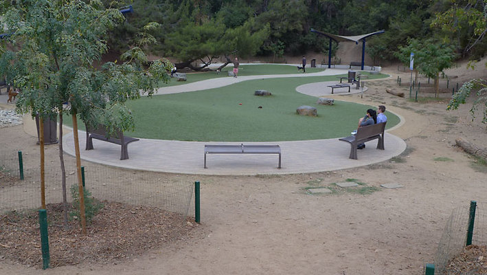Dog Park-2