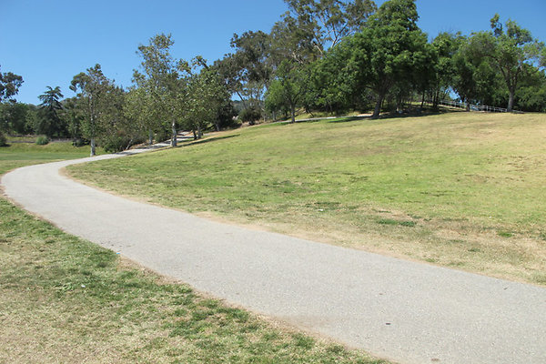 Pedestrian Walkways, Tunnels and Bridges-1