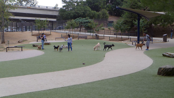 Dog Park-5