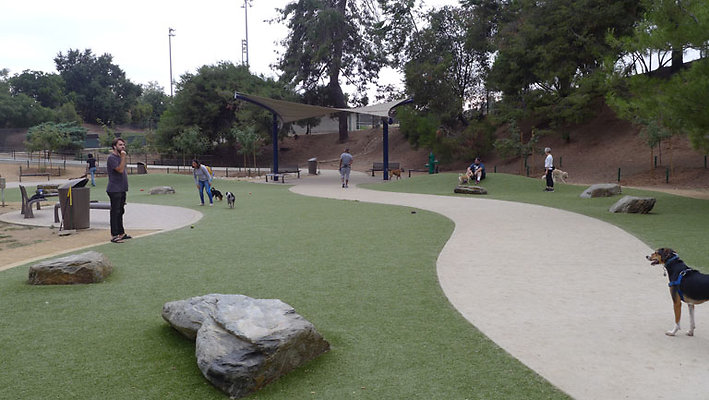 Dog Park-13