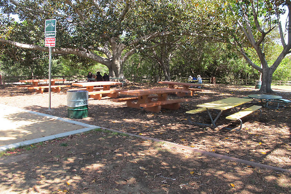 Picnic Areas-Uncovered-2