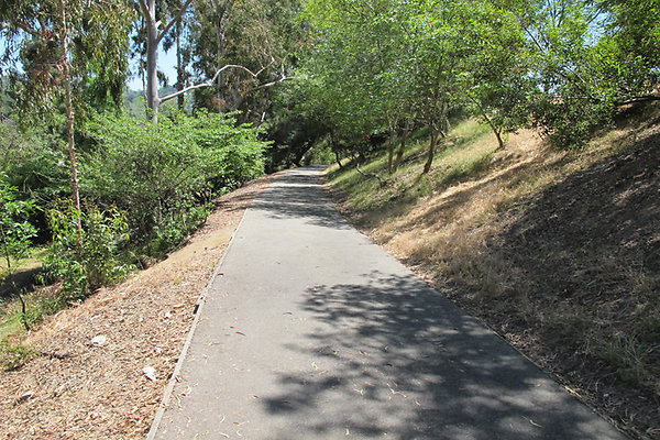 Pedestrian Walkways, Tunnels and Bridges-4