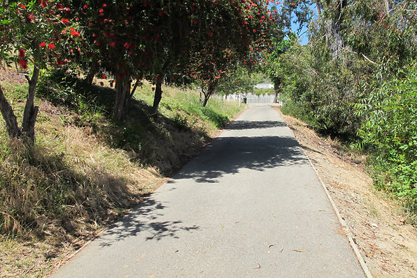 Pedestrian Walkways, Tunnels and Bridges-2