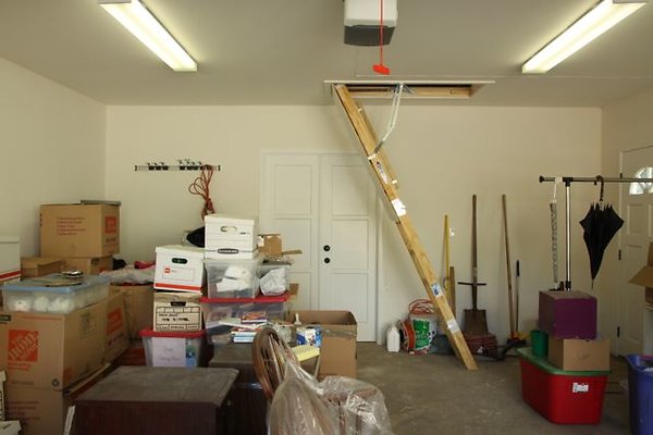 IMG 8677