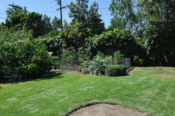 DSC 0042