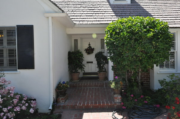 DSC 0006