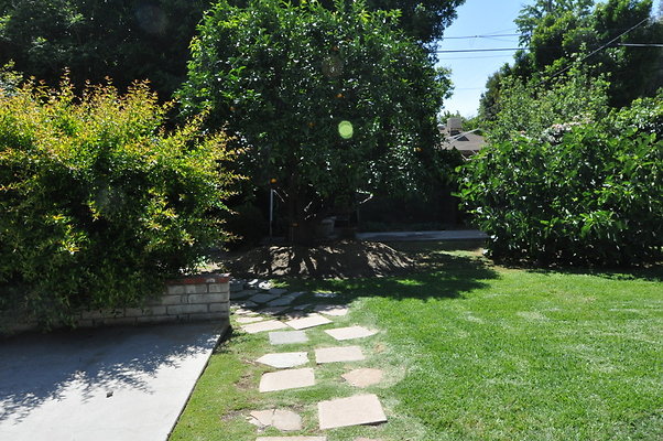 DSC 0041