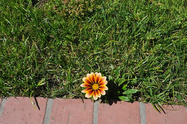DSC 0046