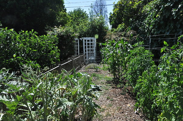 DSC 0043