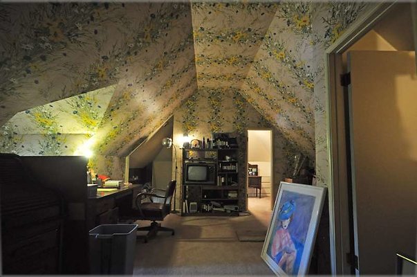 2293 attic4