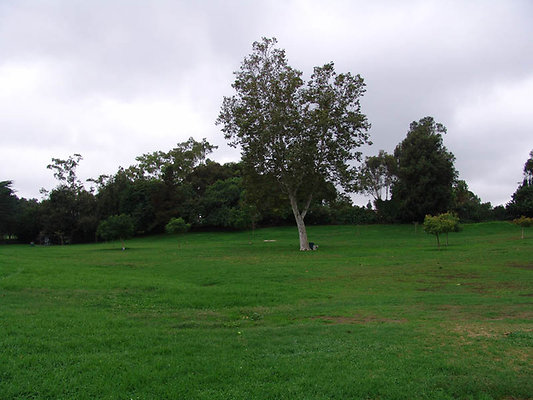DSC03510