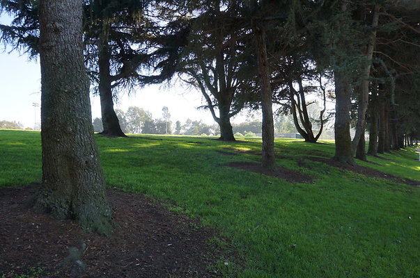 DSC05725