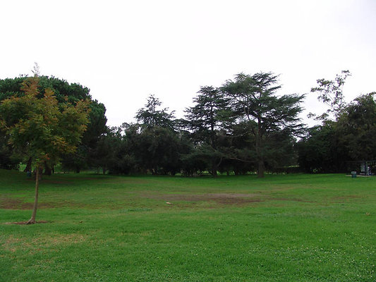 DSC03521