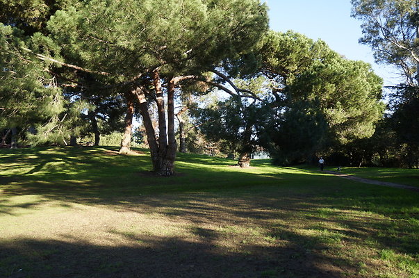 DSC05767