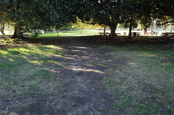 DSC05756