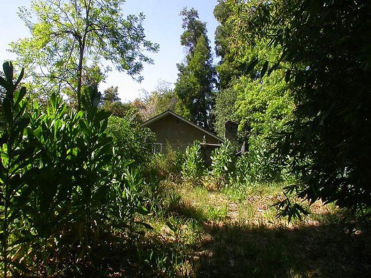 yard3