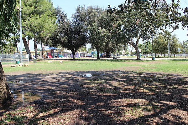 Grounds-Grass Areas-9