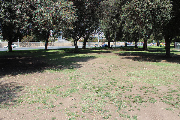 Grounds-Grass Areas-8