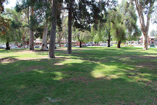 Grounds-Grass Areas-1