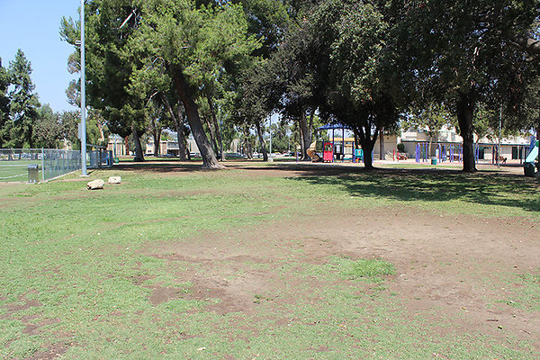 Grounds-Grass Areas-2