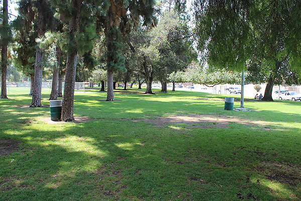 Grounds-Grass Areas-18