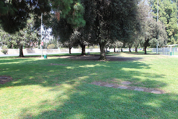 Grounds-Grass Areas-19