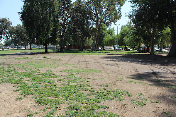 Grounds-Grass Areas-11