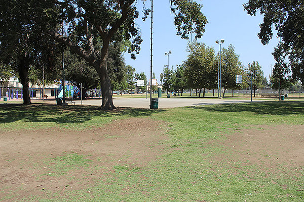 Grounds-Grass Areas-15