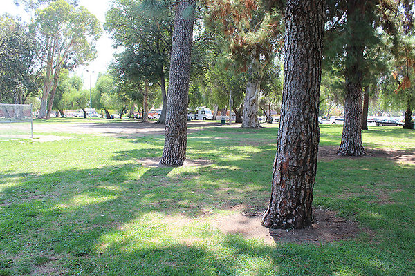 Grounds-Grass Areas-14
