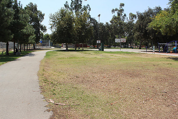 Grounds-Grass Areas-12