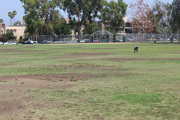Athletic Facilities-Baseball Fields-3