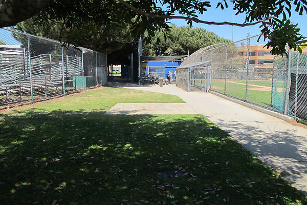 Pedestrian Walkways, Tunnels and Bridges-1