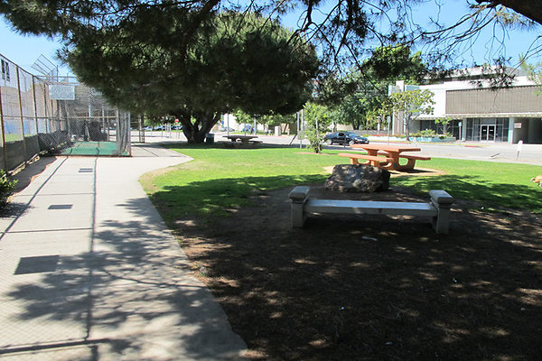 Picnic Areas-Uncovered-2