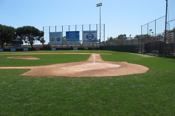 Athletic Facilities-Baseball Fields-6