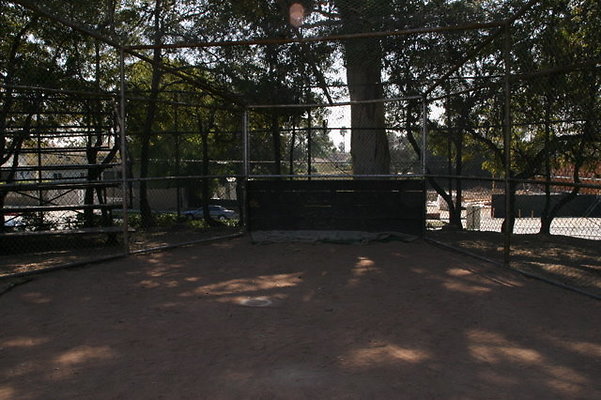 IMG 0430